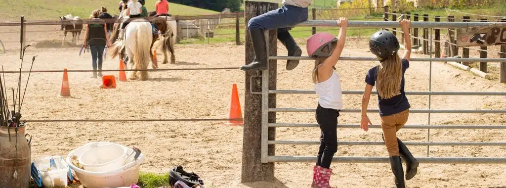 pony