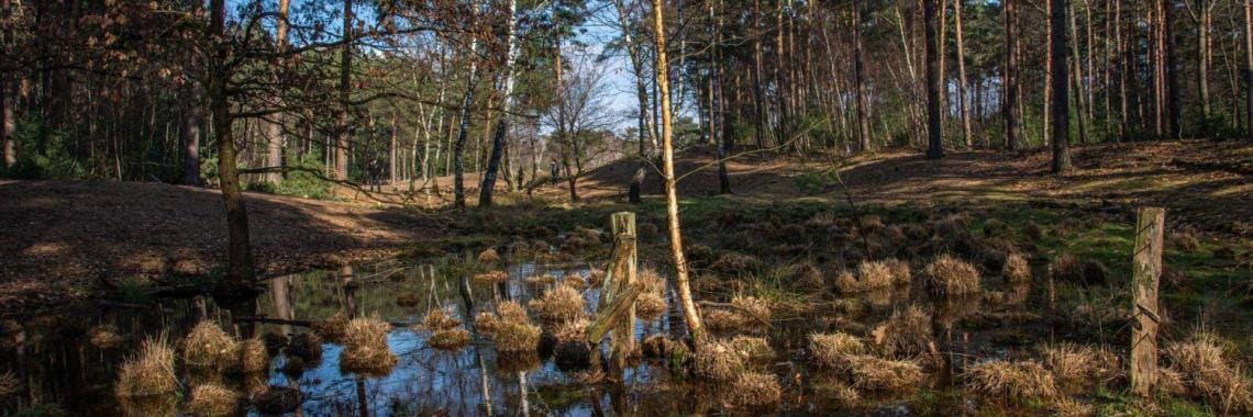 Teverener Heide 12