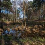 Teverener Heide 11 Teverener Heide 12