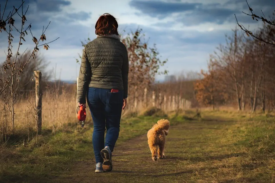 wandelen