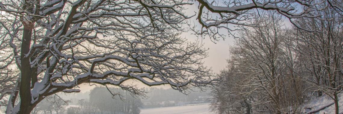 Winterse beelden vanuit Landgraaf 1 sneeuw eropuit 11
