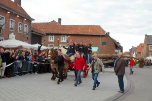 brigidaden, 2014