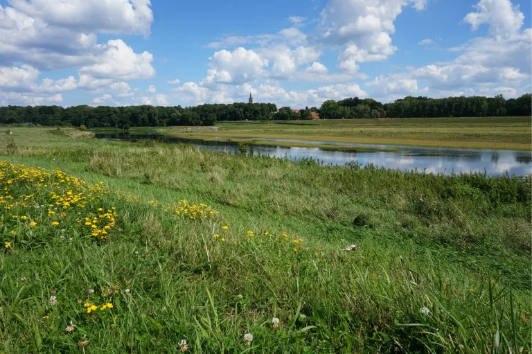 uitzicht op Elsloo LR