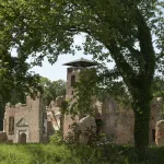 Kasteelruine Bleijenbeek Henk Heijligers