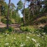 Fort Hazepoot Henk Heijligers