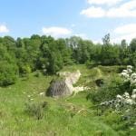 Groeve Blom Wilfred Alblas