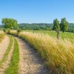 midden limburg natuur