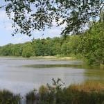Zwart Water - Foto: Het Limburgs Landschap, Henk Heijligers
