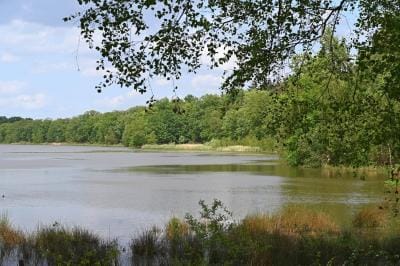 Zwart Water - Foto: Het Limburgs Landschap, Henk Heijligers
