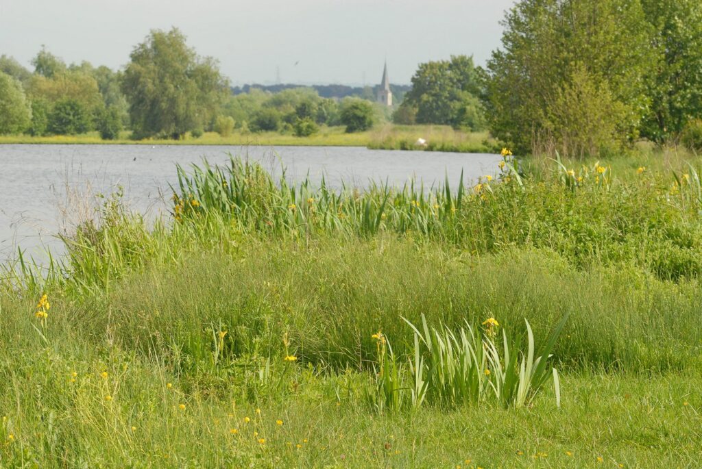 Excursie Eijsder Beemden: ruimte voor de rivier 3 Excursie Eijsder Beemden: ruimte voor de rivier Henk Heijligers