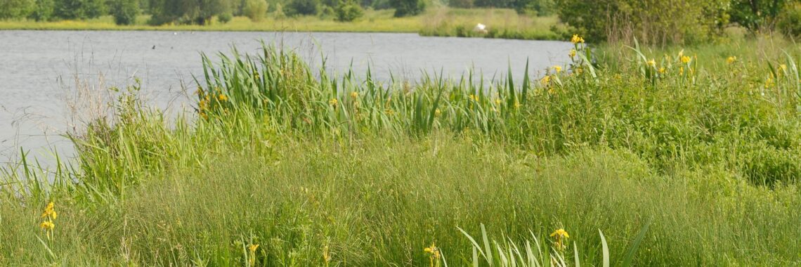 Excursie Eijsder Beemden: ruimte voor de rivier Henk Heijligers