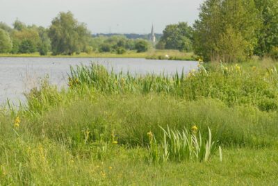 Excursie Eijsder Beemden: ruimte voor de rivier Henk Heijligers