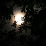 volle maan wandeling