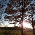 Laurabossen IVN Weert