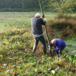 activiteiten natuurwerkdag