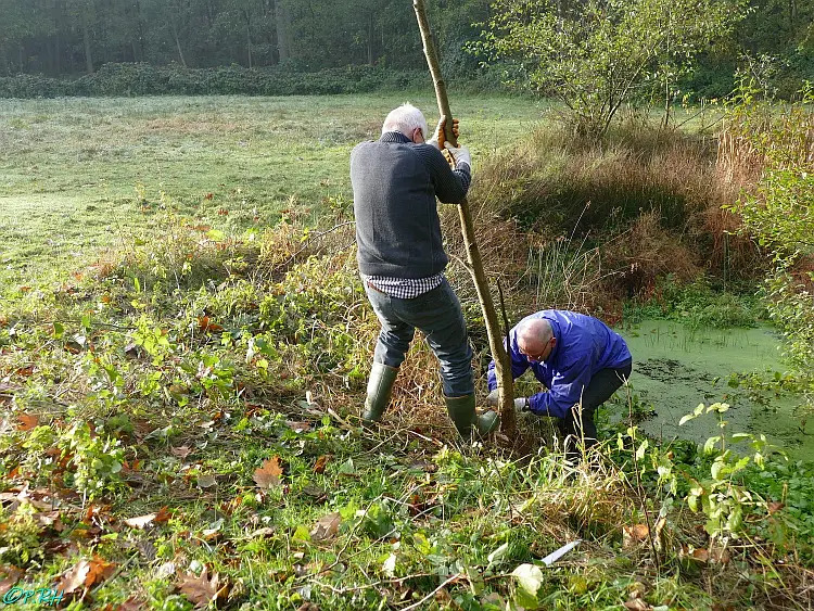 activiteiten natuurwerkdag