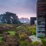 Ontdek de Groote Heide en Het Jammerdal tijdens Peter van der Schans