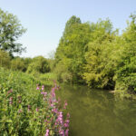 De Dellen Meerssenerbroek Henk Heijligers