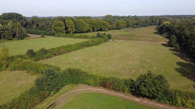 excursie in het Dubbroek