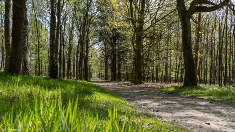 Uitjes Limburg 26 Dauwtrappen