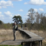 De Groote Peel foto M Vaes