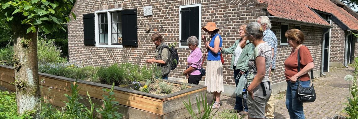 Kruidenwandeling in Nationaal Park De Groote Peel