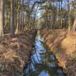 Landschapswandeling Weerterbos