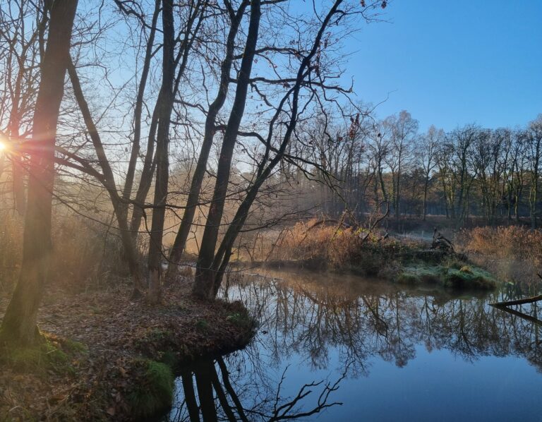 Stiltewandeling in het Leudal