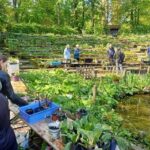 Plantenruilmarkt 12 Plantenruilmarkt