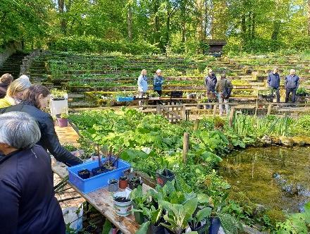 Plantenruilmarkt 4 Plantenruilmarkt