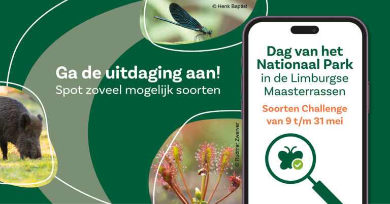 Dag van het Nationaal Park in de Limburgse Maasterrassen