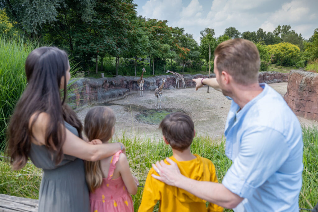Moederdag bij GaiaZOO