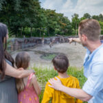 Moederdag bij GaiaZOO