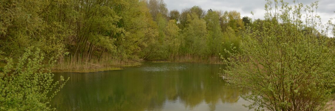 Klimaatwandeling op het Jammerdal