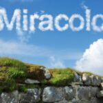 Miracolo
