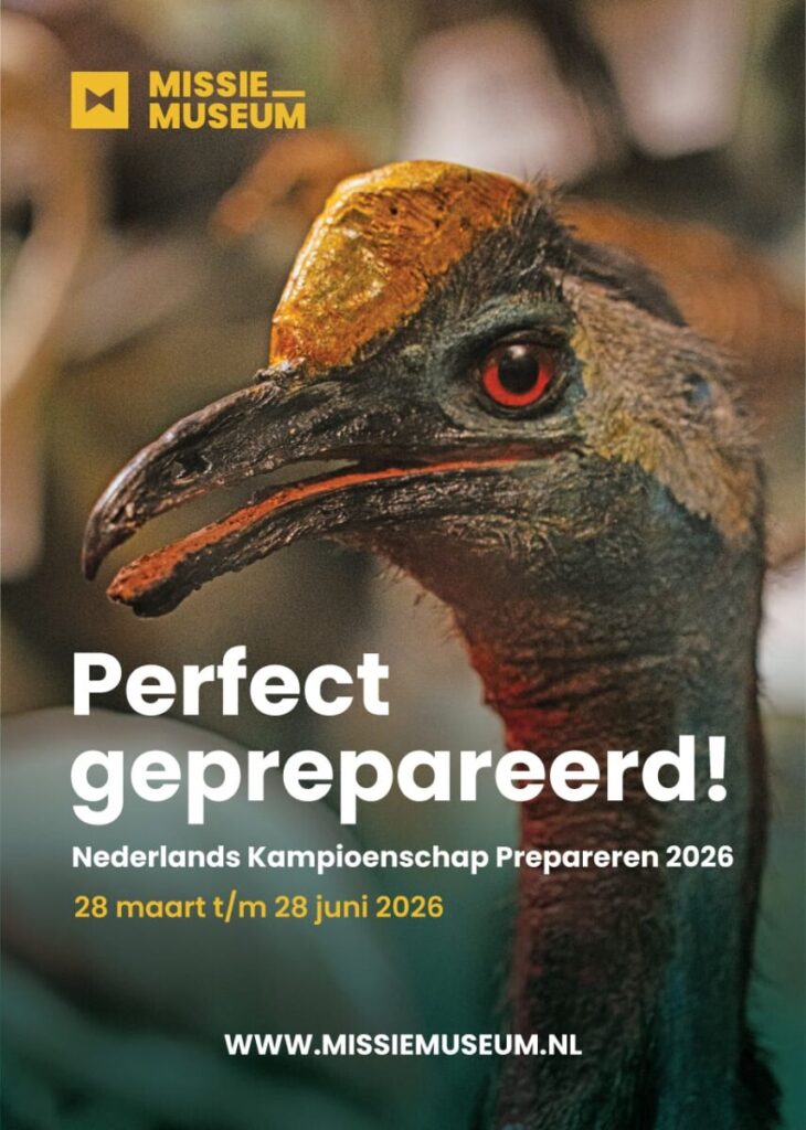 Perfect geprepareerd!