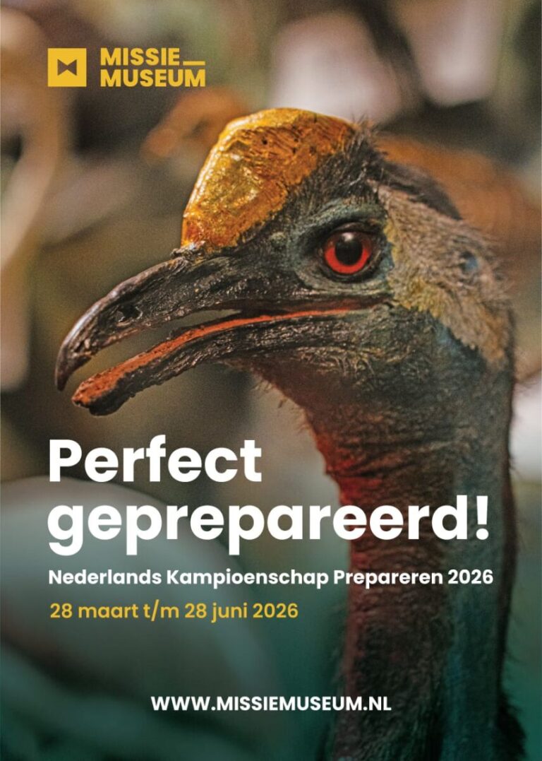 Perfect geprepareerd!