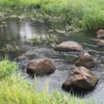 Stiltewandeling 13 Stiltewandeling