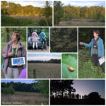 Volle maanwandeling – Beleef de magie van de nacht