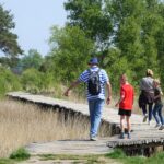 Dauwtrappen in de natuur (Marijke Vaes)