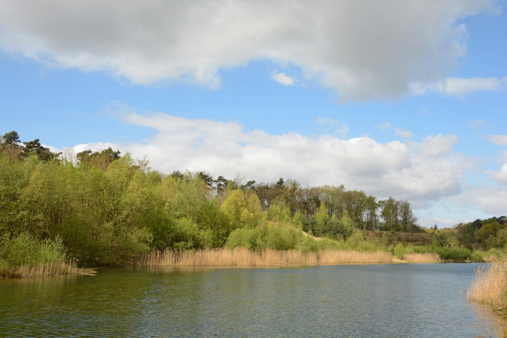 Genieten van de natuur in het Jammerdal