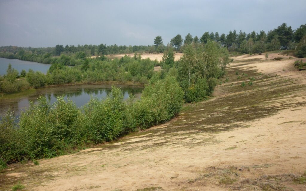 Mindfulness het bos in bij het Reindersmeer