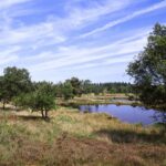 Japans Bosbaden: een nieuwe manier van natuurbeleving 5 Japanse Natuurbelevingswandeling Edmond Staal