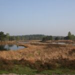 Kinderactiviteit Sprookjestocht in Afferden Lia Oosterwijk