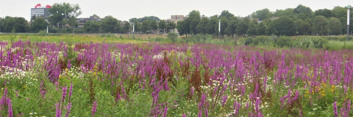 Verken de groene wereld van de Raayweiden Piet Fleuren