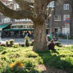 24 uur voor de Stadsnatuur