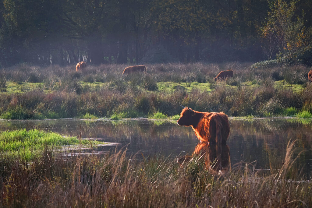 Klimaatwandeling bij Smeetshof