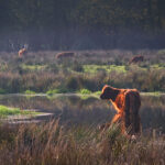 Klimaatwandeling bij Smeetshof