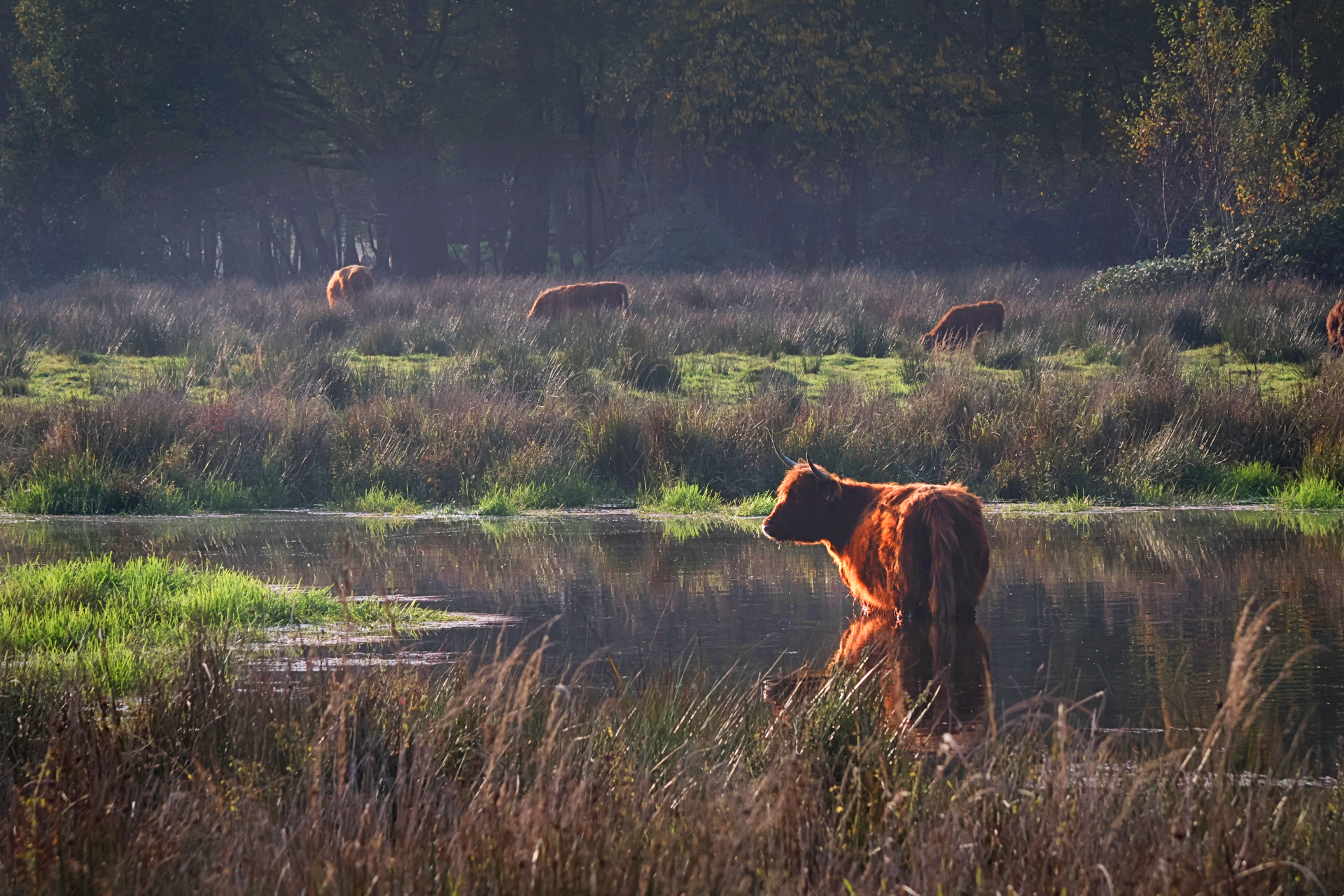 Klimaatwandeling bij Smeetshof