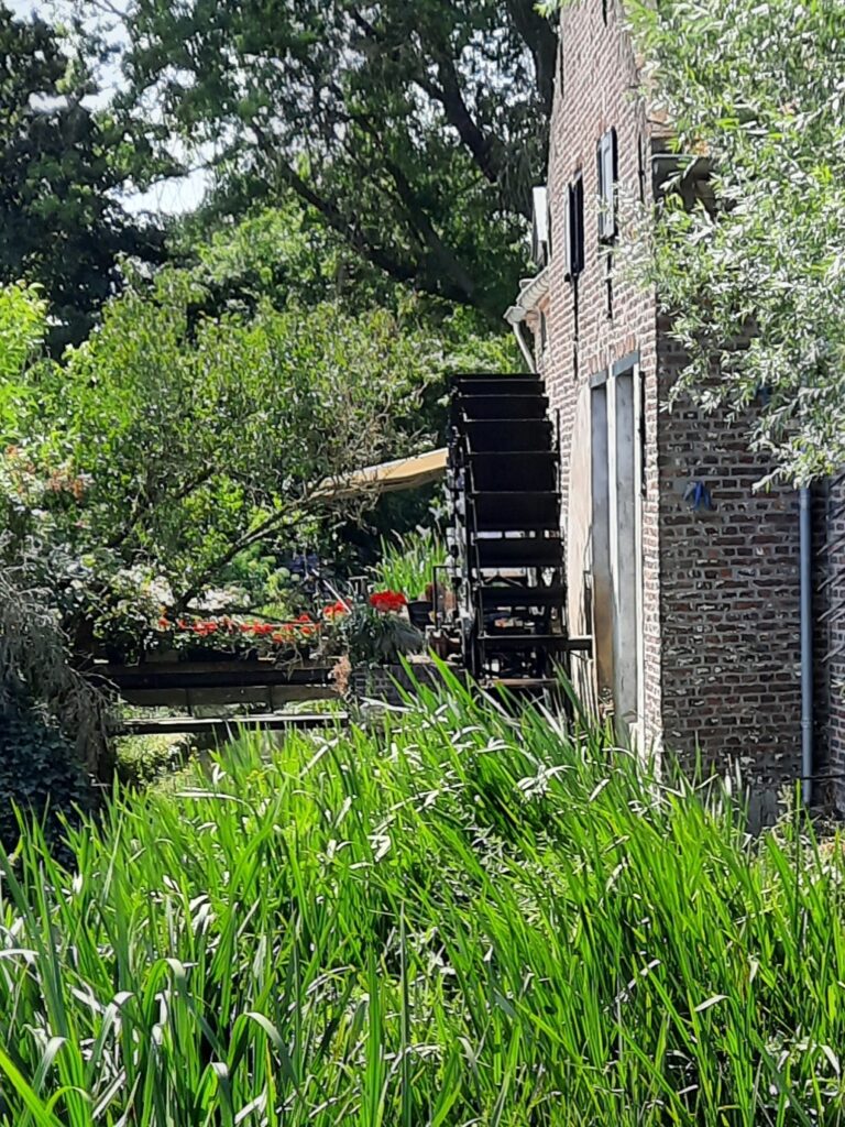 Neer 16 Ontdek de natuur van Neeritter tijdens een bijzondere wandeling langs de Itterbeek